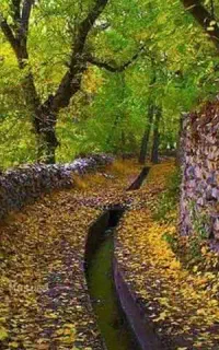 تور1روزه خوانسار جمعه8آبان ظرفیت۳نفر