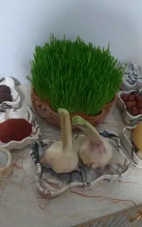 تدریس خصوصی دروس ابتدایی