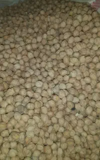 نخود درجه یک
