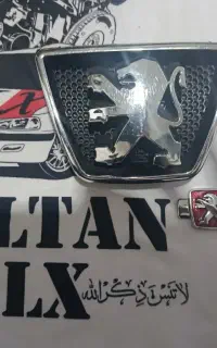 ماکت ارم جلو پنجره پژو و یک ارم استیل تزعینی پژو
