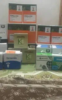 بذر چغندر انتک بذر کاهو بذر پیاز هویج انواع بذر