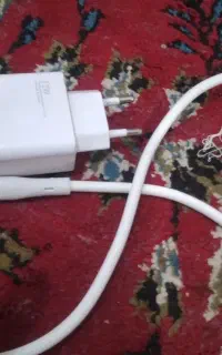 شارژر اصلی