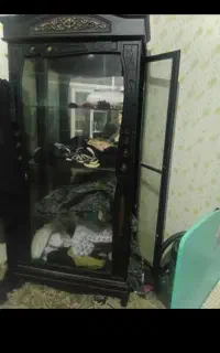 گنجه نو