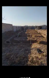 کارگرباغ وباغبانی بیل زنی  ترپان الف زنی گل کاری