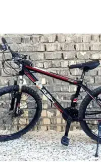 دوچرخه فلش