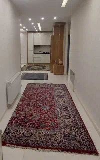 دو عدد فرش ۱۲ متری