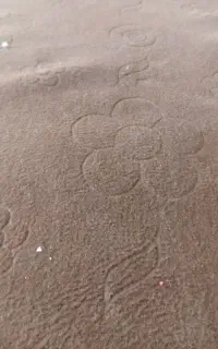 ۶۰متر موکت قهوه ای رنگ در حد نو
