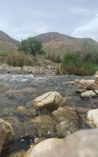 بلیط استخر کوثر