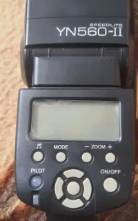 فاش یانگو مانت کنون