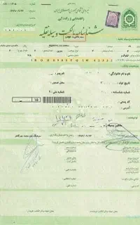 برگ سبز ماشین گمشده