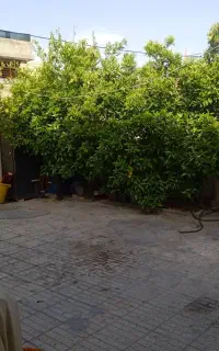 رهن منزل مسکونی