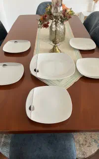 ظروف چینی