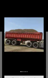 کودگوسفندی وگاوی شماره تماس