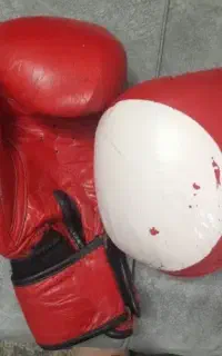 دستکش بوکس