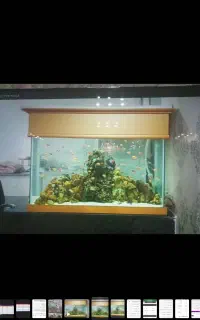 اکواریوم فروش یا معاوضه با سگ ژرمن