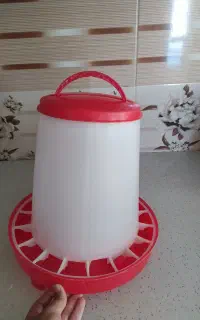 دانخوری مرغ