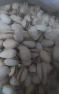 پسته احمد آقای رفسنجان