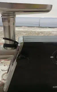 چرخ گوشت گاسونیک سالم