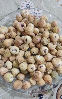 فروش انجیر
