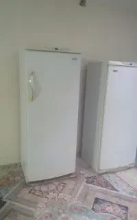 یخچال و فریزر ارج