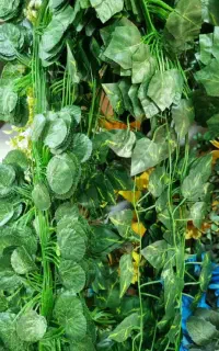 گرین وال چمن مصنوعی فنس چمن