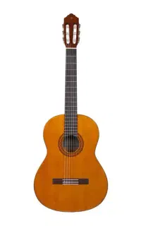 گیتار c40