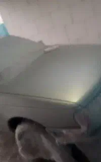 خدمات خودروی نقاشی صفر تا ۱۰۰
