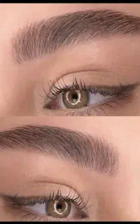 انواع خدمات و آموزش میکروبلیدینگ ابرو و تتو صورت