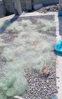 توربرای ماهیگیری