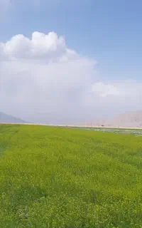 فروش سیم کارت رند
