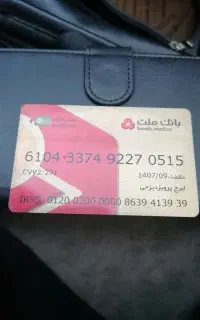 مدارک به نام ایرج پرویز دیزجی گم شده