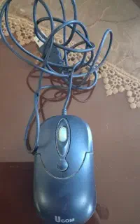 موس