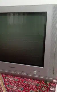 تلوزیون