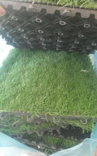 چمن مصنوعی