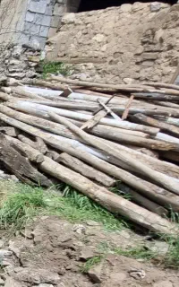 تیر چوبی گرد سقفی و کنده درخت خانه قدیمی