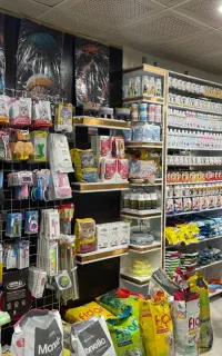 غذای خشک پوچ پودینگ بستنی گربه و سگ