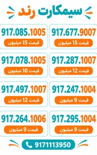917.085.1005  917.677.9007