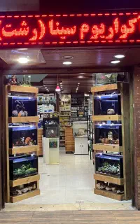 آکواریوم وماهی زینتی سینا رشت