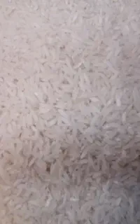 برنج طارم هاشمی معطر