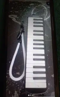 ملودیکا helvacioglu