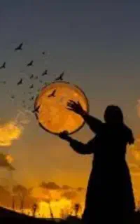 آموزش دف