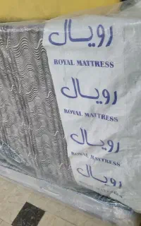 دو عدد تشک نوجوان رویا