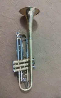 شیپور مدل بست فان