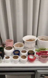 گلدان