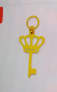 یک عدد گوشواره پیدا شده