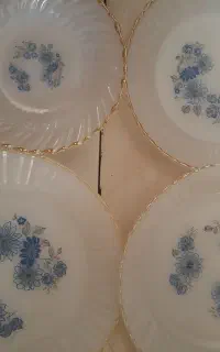 سرویس ارکوپال گل آبی قدیم
