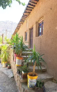 اجاره سوئیت در دهکده