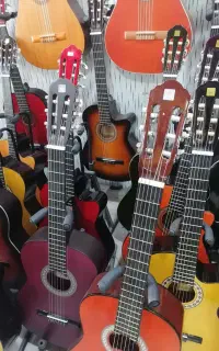 گیتار/ سازی برای هر سلیقه