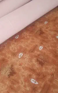 موکت در حد نو