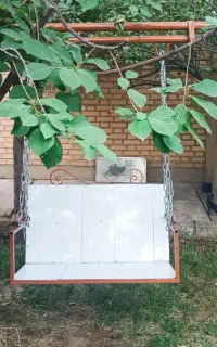 تاب باغی
